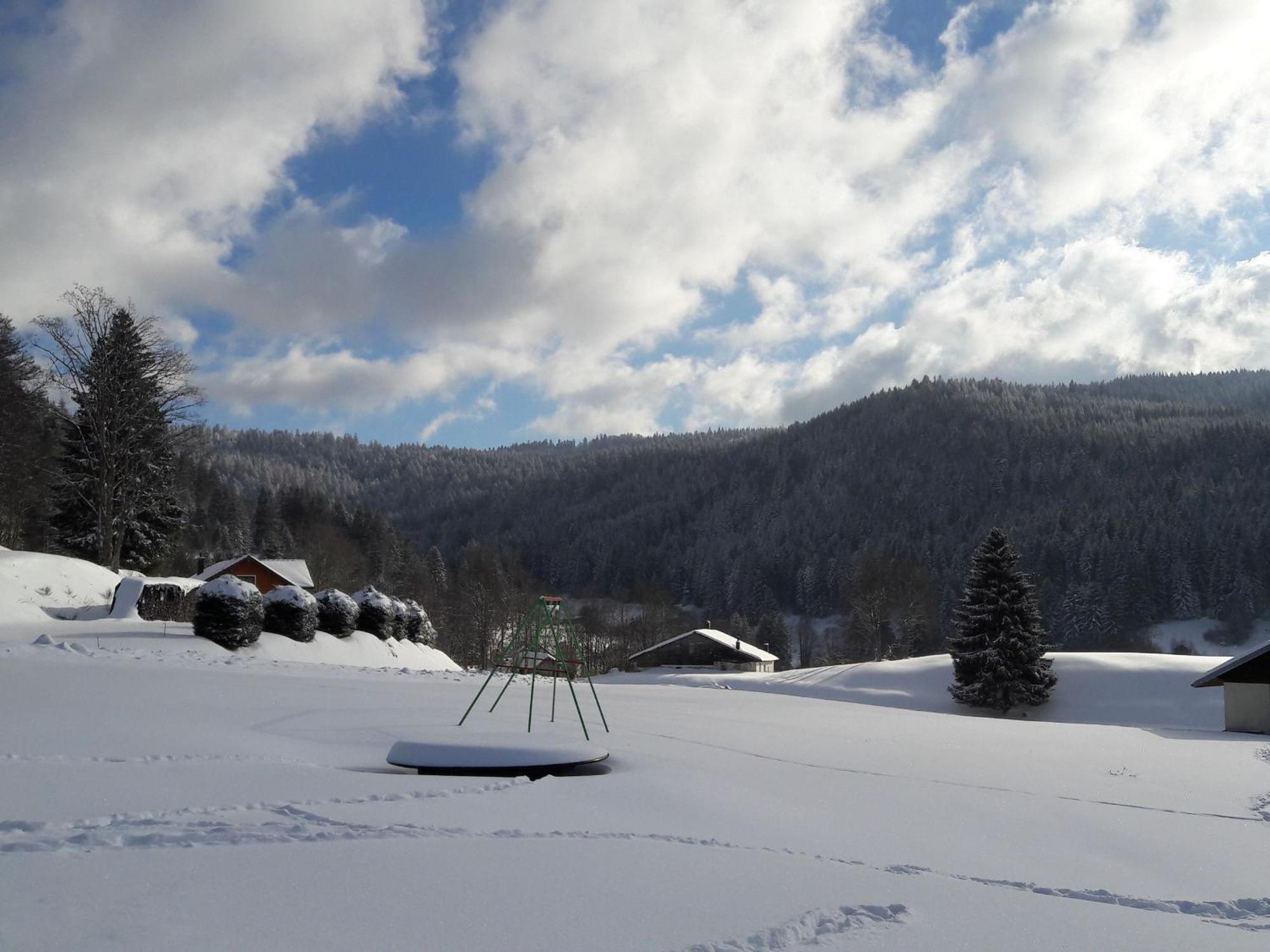 Gite A Gerardmer - Proche Lac Et Pistes, Chem Cheminee, 2 Chambres - Fr-1-589-108 Exterior photo